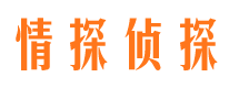 阜新市私家侦探公司